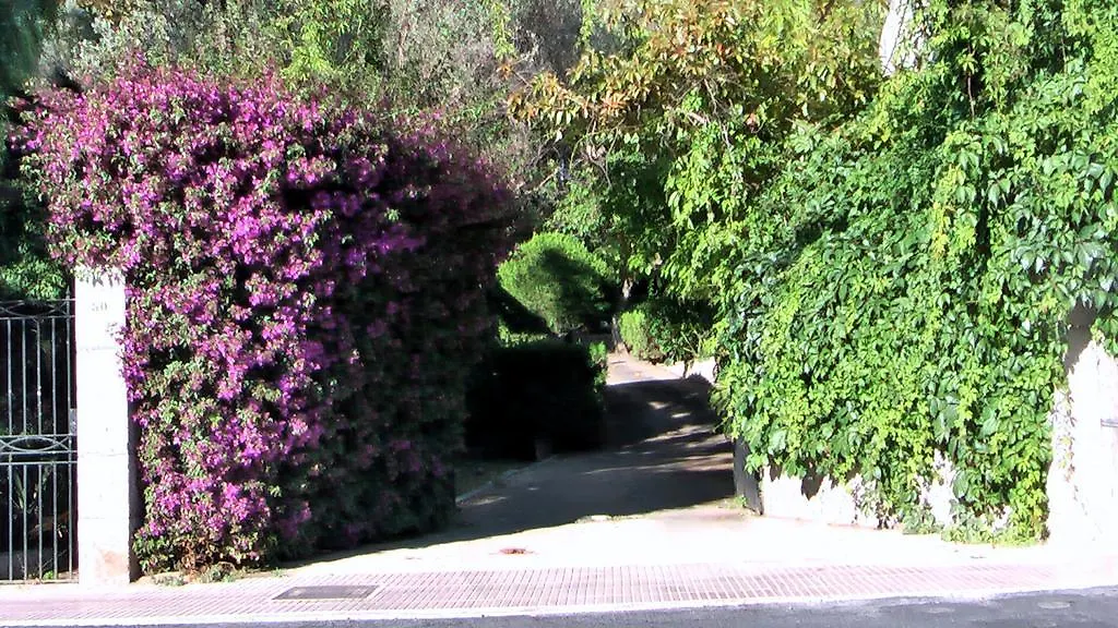 Apartamento Bellavista Hotel Puerto de Sóller